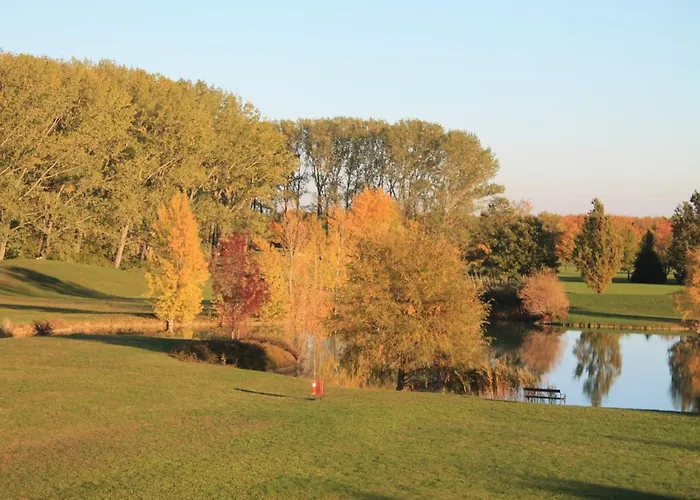 Apartament Birdland Panorama *